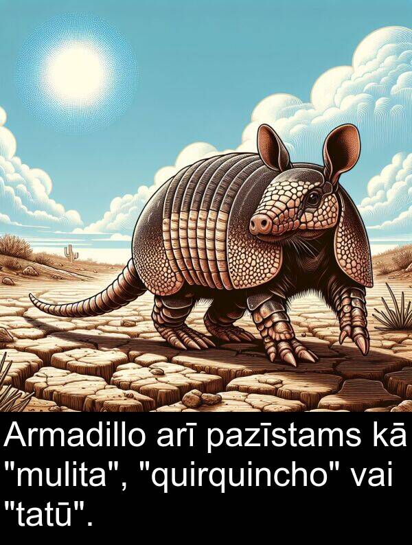 pazīstams: Armadillo arī pazīstams kā "mulita", "quirquincho" vai "tatū".