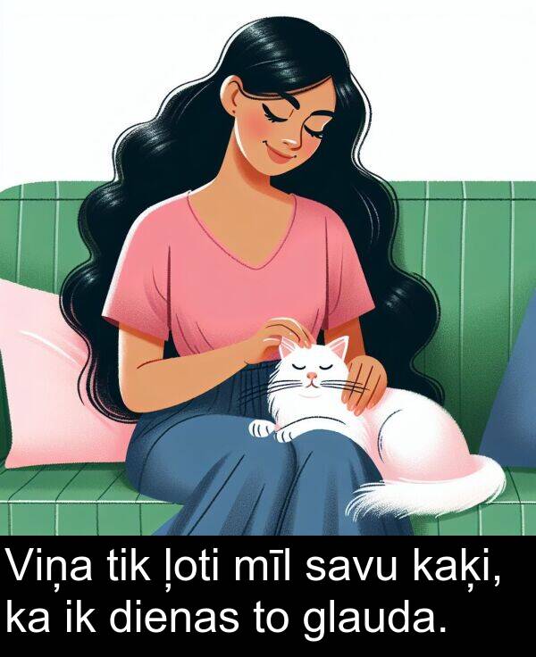 kaķi: Viņa tik ļoti mīl savu kaķi, ka ik dienas to glauda.