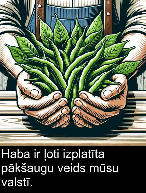 valstī: Haba ir ļoti izplatīta pākšaugu veids mūsu valstī.