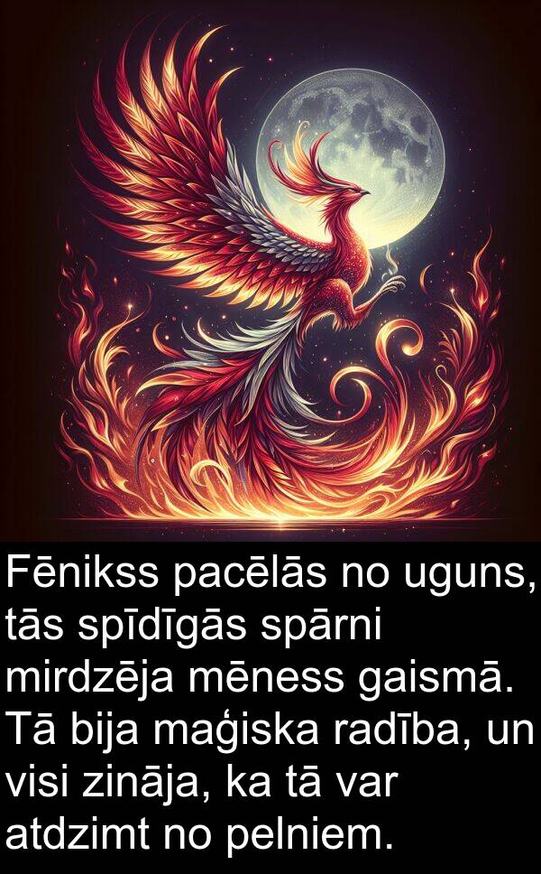 maģiska: Fēnikss pacēlās no uguns, tās spīdīgās spārni mirdzēja mēness gaismā. Tā bija maģiska radība, un visi zināja, ka tā var atdzimt no pelniem.