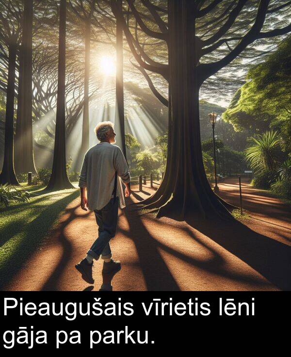 vīrietis: Pieaugušais vīrietis lēni gāja pa parku.