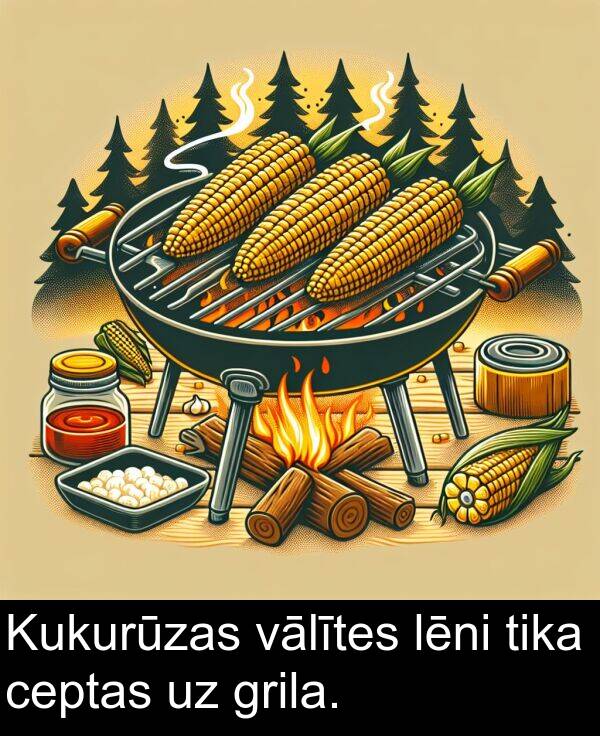 ceptas: Kukurūzas vālītes lēni tika ceptas uz grila.