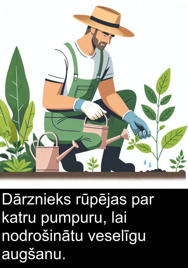 pumpuru: Dārznieks rūpējas par katru pumpuru, lai nodrošinātu veselīgu augšanu.