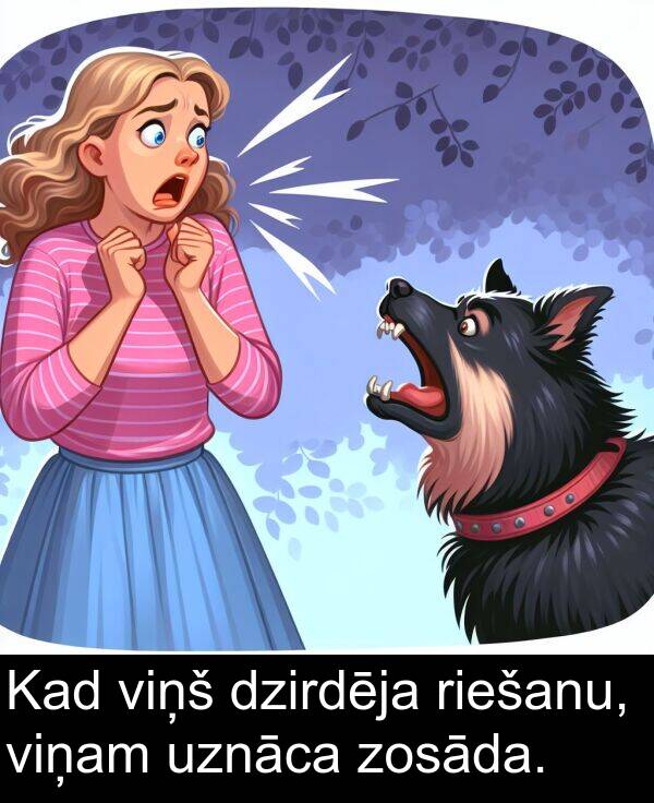 uznāca: Kad viņš dzirdēja riešanu, viņam uznāca zosāda.