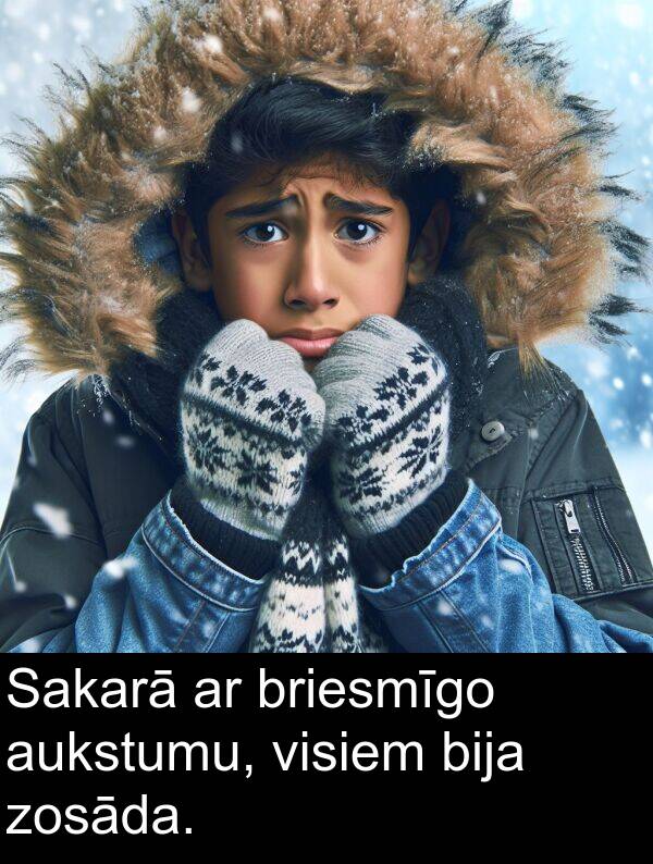 briesmīgo: Sakarā ar briesmīgo aukstumu, visiem bija zosāda.