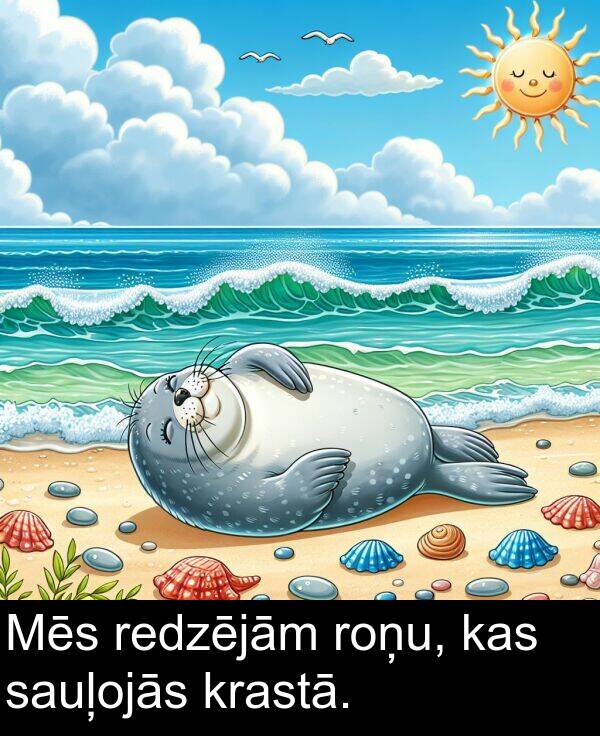 krastā: Mēs redzējām roņu, kas sauļojās krastā.
