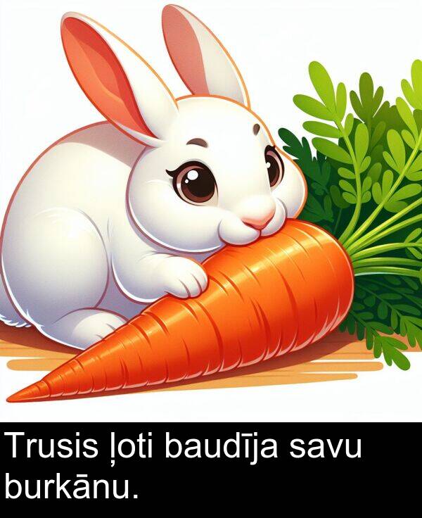 ļoti: Trusis ļoti baudīja savu burkānu.