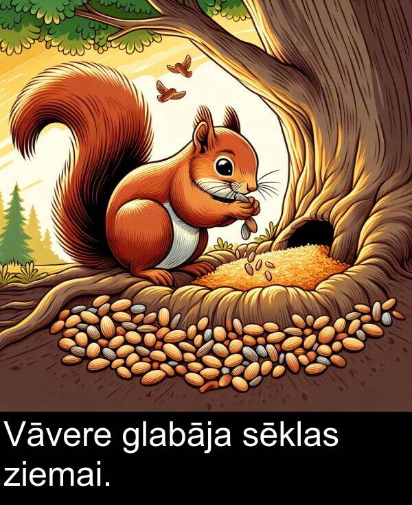 ziemai: Vāvere glabāja sēklas ziemai.
