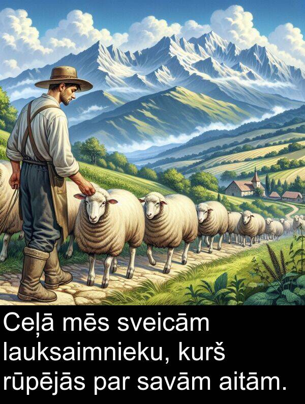 kurš: Ceļā mēs sveicām lauksaimnieku, kurš rūpējās par savām aitām.