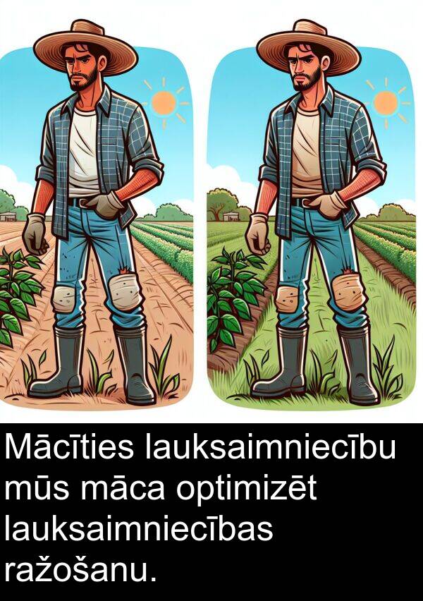 māca: Mācīties lauksaimniecību mūs māca optimizēt lauksaimniecības ražošanu.