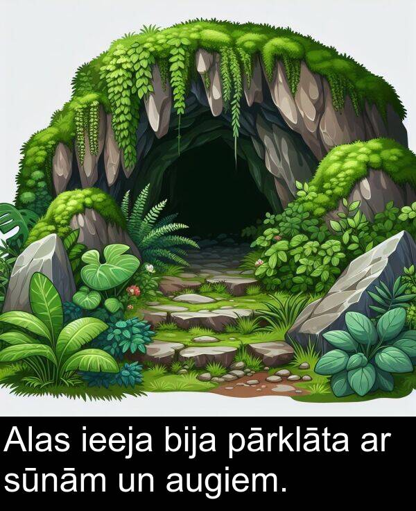 sūnām: Alas ieeja bija pārklāta ar sūnām un augiem.