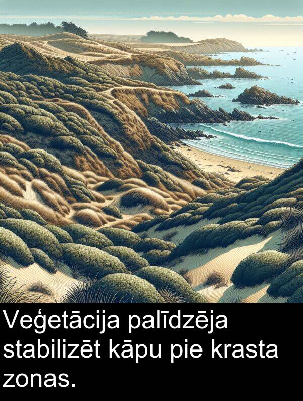 krasta: Veģetācija palīdzēja stabilizēt kāpu pie krasta zonas.