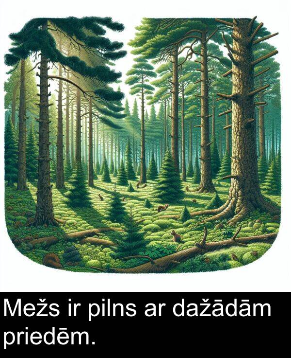 pilns: Mežs ir pilns ar dažādām priedēm.