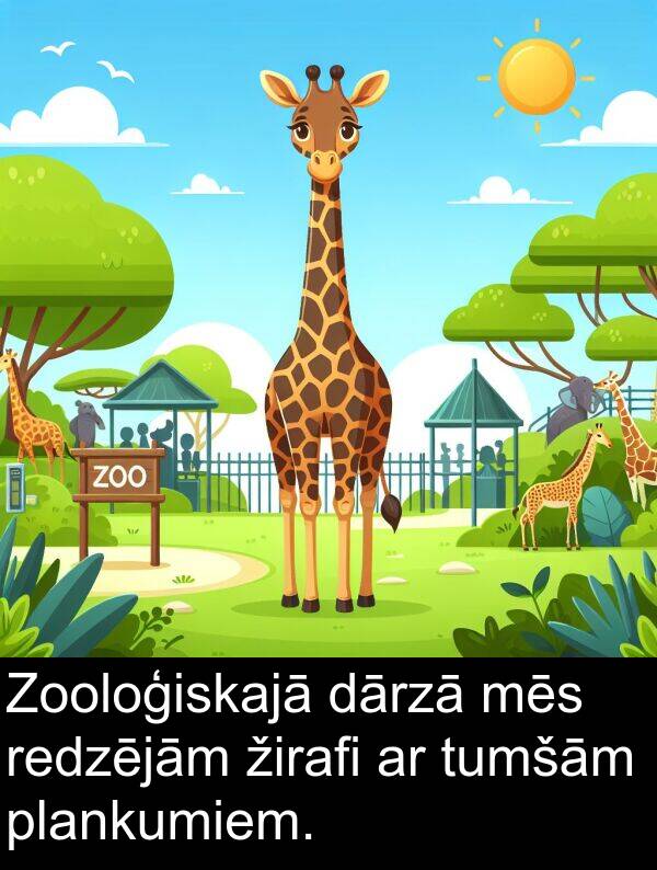 žirafi: Zooloģiskajā dārzā mēs redzējām žirafi ar tumšām plankumiem.