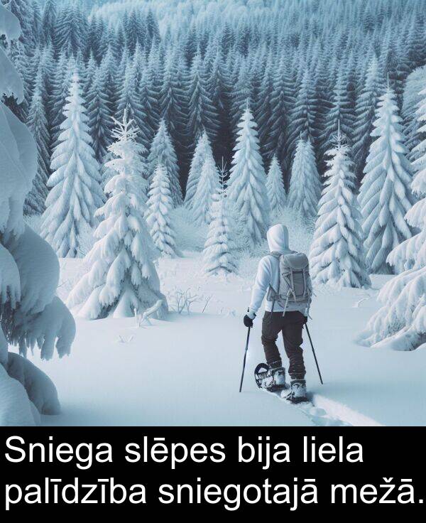 sniegotajā: Sniega slēpes bija liela palīdzība sniegotajā mežā.