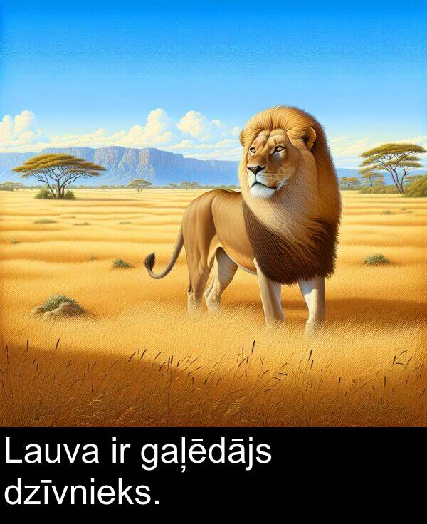gaļēdājs: Lauva ir gaļēdājs dzīvnieks.