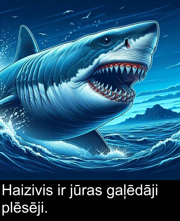 gaļēdāji: Haizivis ir jūras gaļēdāji plēsēji.