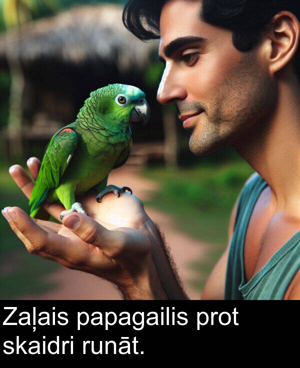 prot: Zaļais papagailis prot skaidri runāt.