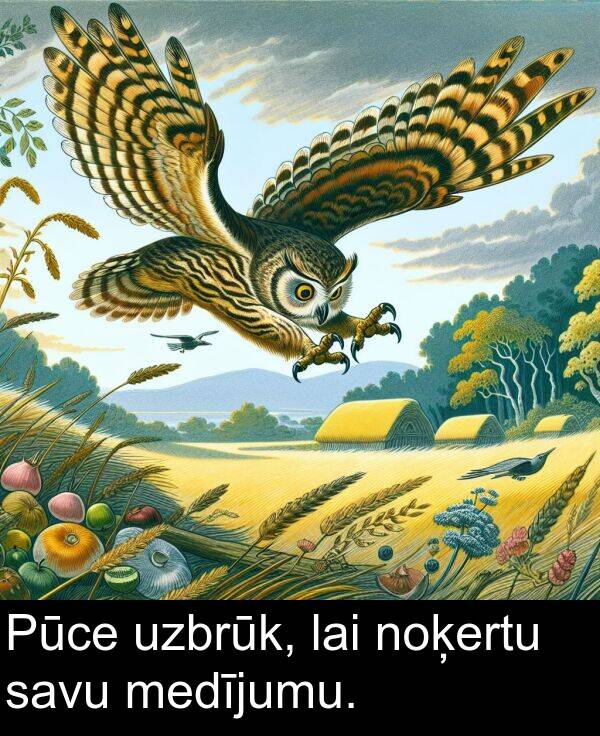 uzbrūk: Pūce uzbrūk, lai noķertu savu medījumu.