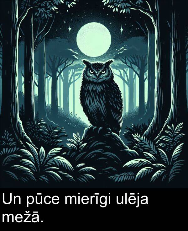 ulēja: Un pūce mierīgi ulēja mežā.