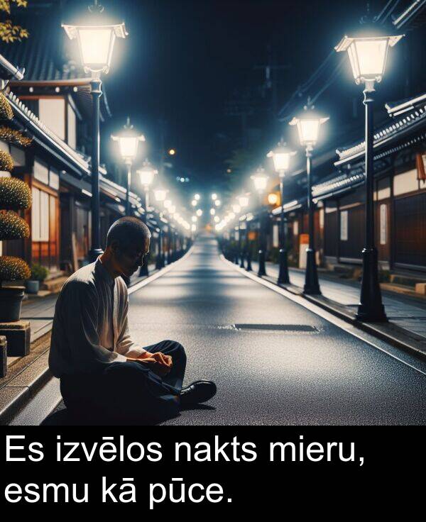 nakts: Es izvēlos nakts mieru, esmu kā pūce.