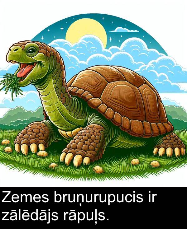 zālēdājs: Zemes bruņurupucis ir zālēdājs rāpuļs.