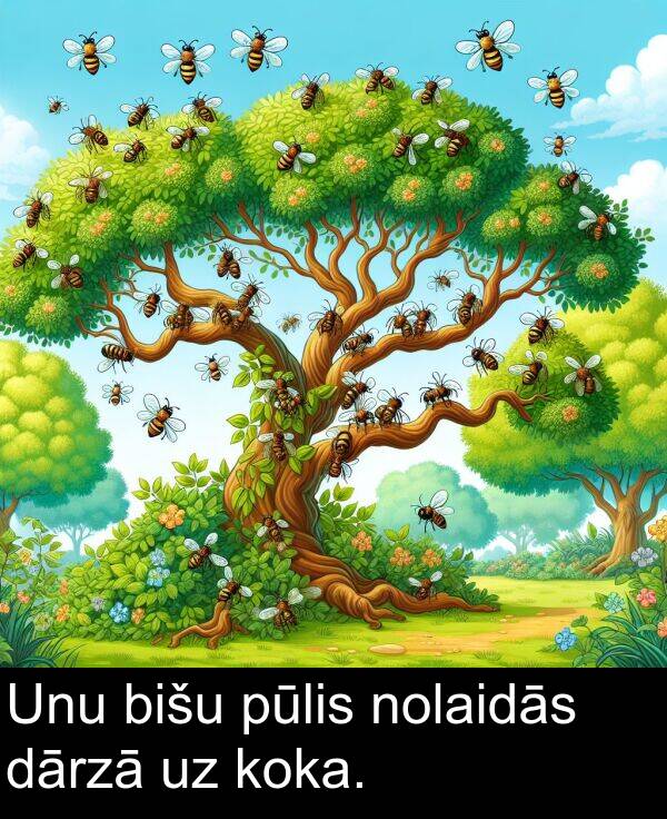 koka: Unu bišu pūlis nolaidās dārzā uz koka.