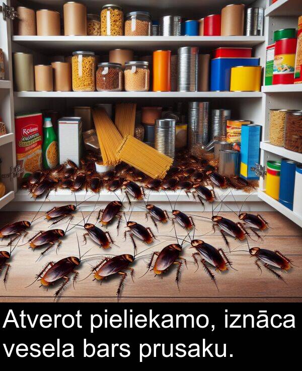 prusaku: Atverot pieliekamo, iznāca vesela bars prusaku.