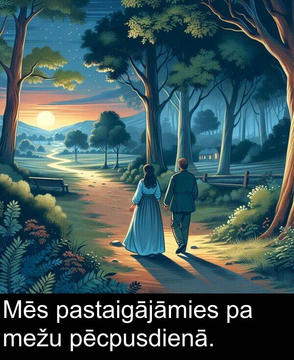 mežu: Mēs pastaigājāmies pa mežu pēcpusdienā.