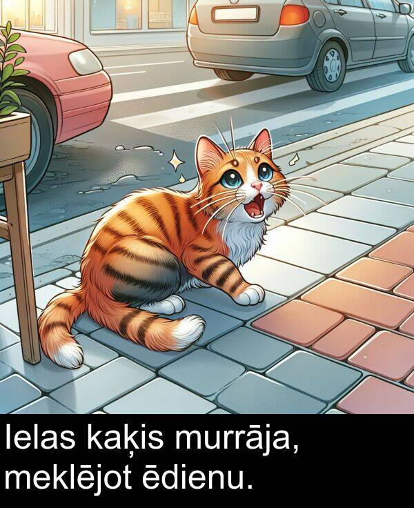 kaķis: Ielas kaķis murrāja, meklējot ēdienu.