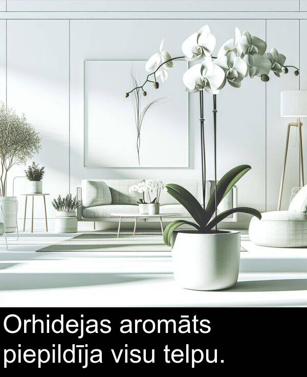 aromāts: Orhidejas aromāts piepildīja visu telpu.
