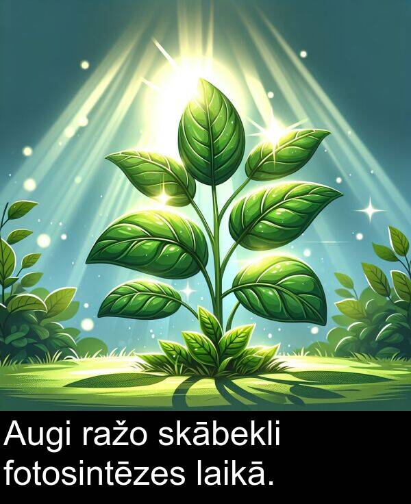 laikā: Augi ražo skābekli fotosintēzes laikā.