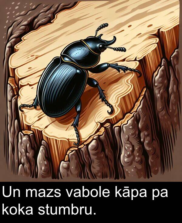 koka: Un mazs vabole kāpa pa koka stumbru.