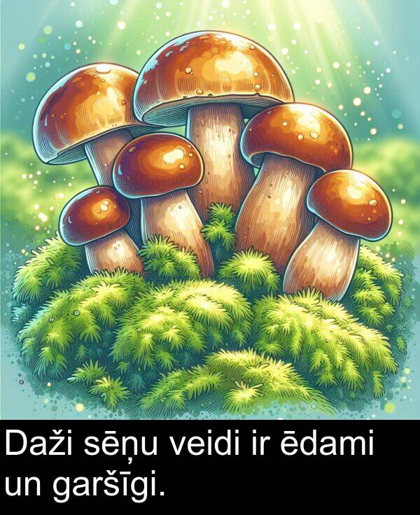 ēdami: Daži sēņu veidi ir ēdami un garšīgi.
