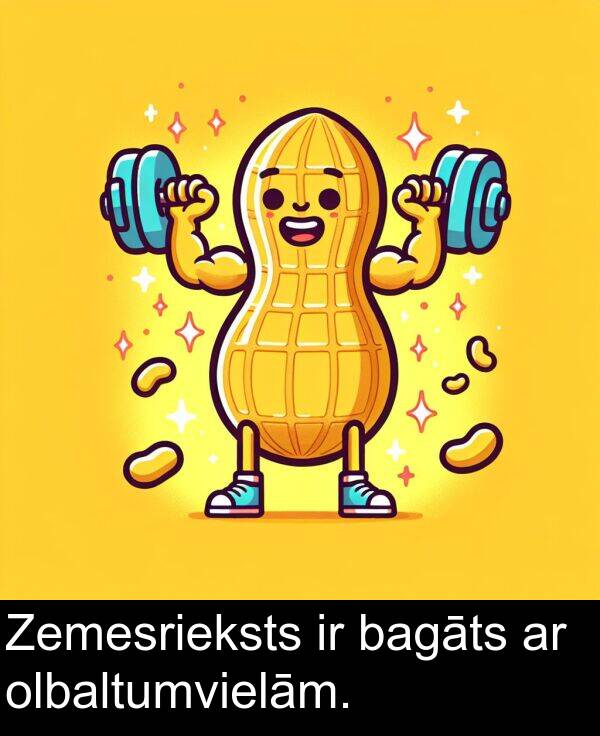 olbaltumvielām: Zemesrieksts ir bagāts ar olbaltumvielām.