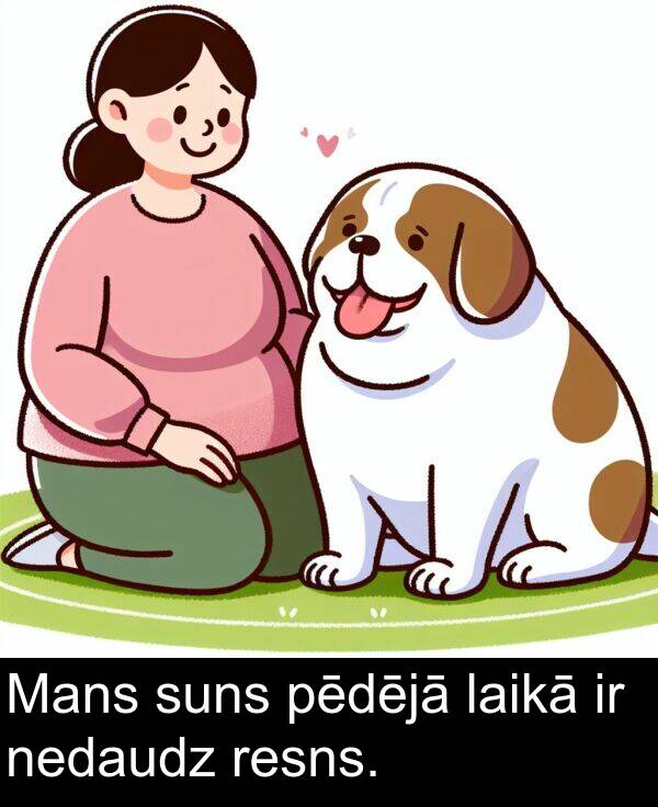 suns: Mans suns pēdējā laikā ir nedaudz resns.