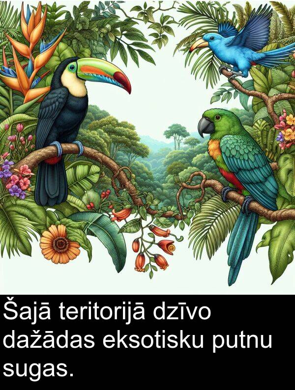 sugas: Šajā teritorijā dzīvo dažādas eksotisku putnu sugas.