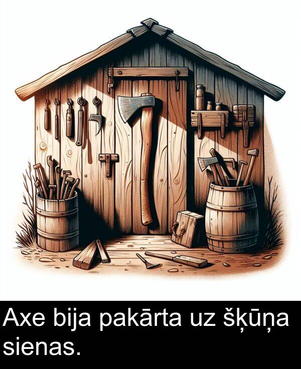 šķūņa: Axe bija pakārta uz šķūņa sienas.