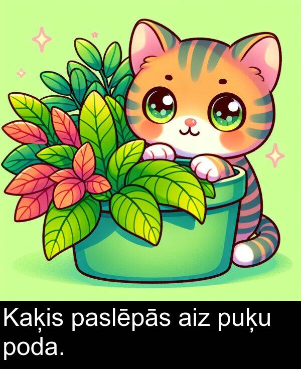 poda: Kaķis paslēpās aiz puķu poda.
