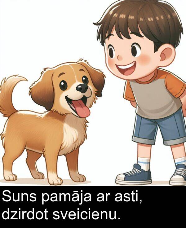 asti: Suns pamāja ar asti, dzirdot sveicienu.