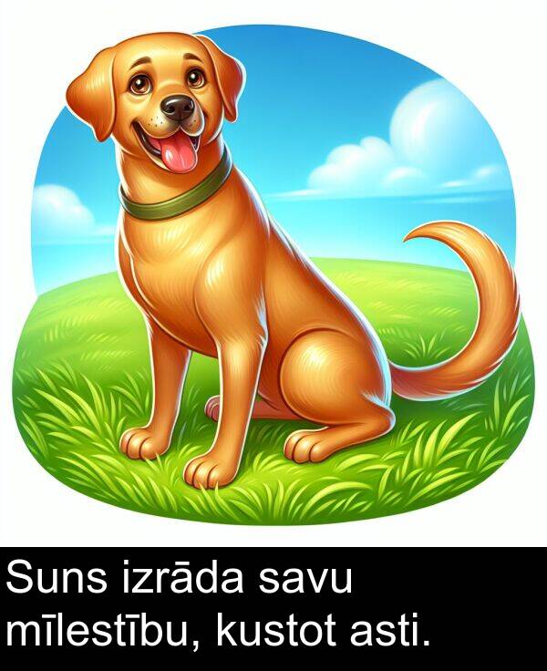 asti: Suns izrāda savu mīlestību, kustot asti.