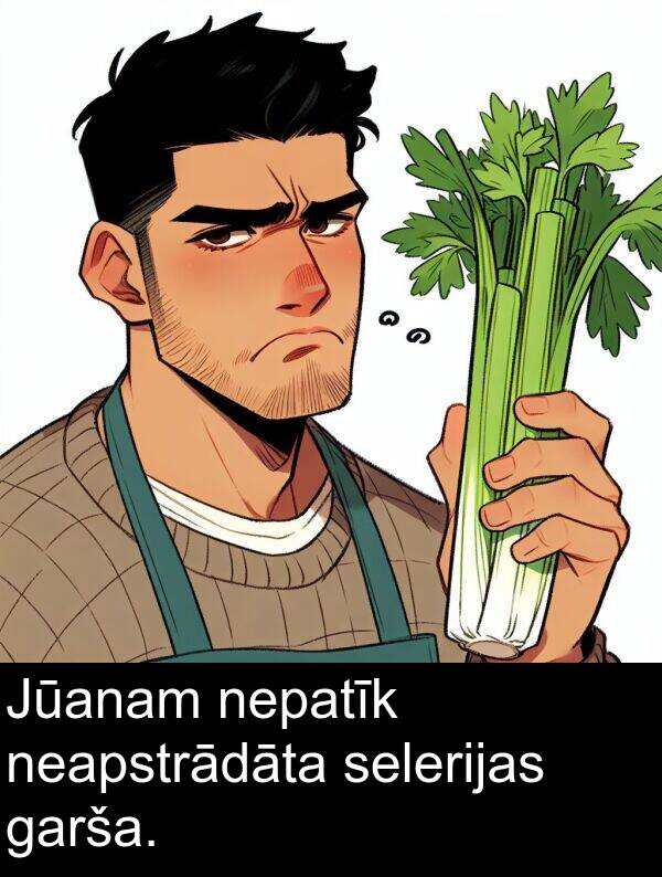 neapstrādāta: Jūanam nepatīk neapstrādāta selerijas garša.