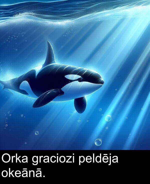 okeānā: Orka graciozi peldēja okeānā.