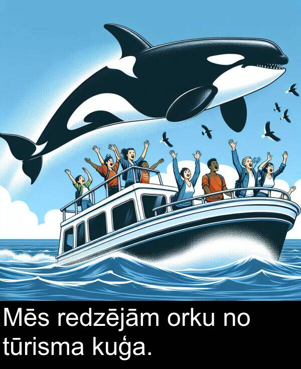 kuģa: Mēs redzējām orku no tūrisma kuģa.