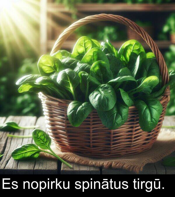spinātus: Es nopirku spinātus tirgū.