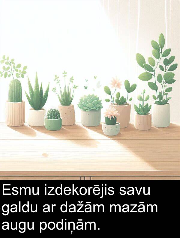 galdu: Esmu izdekorējis savu galdu ar dažām mazām augu podiņām.