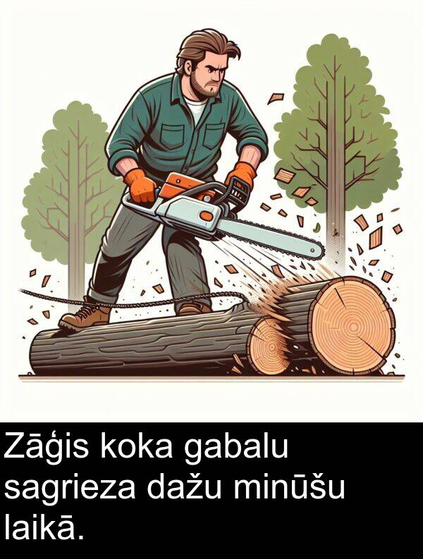 koka: Zāģis koka gabalu sagrieza dažu minūšu laikā.