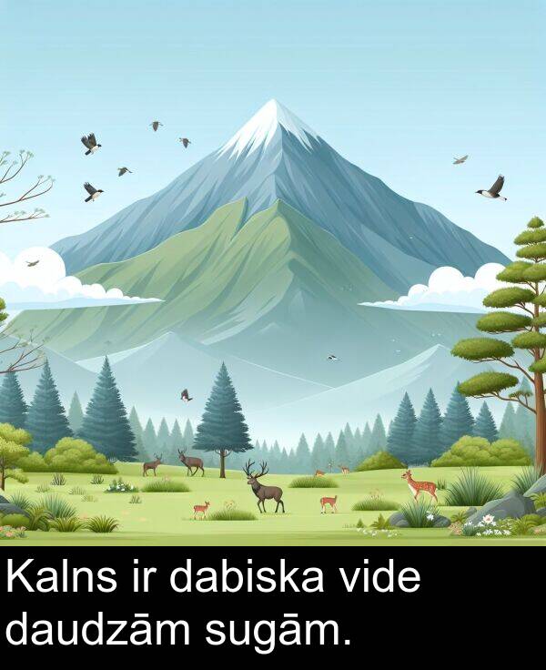 sugām: Kalns ir dabiska vide daudzām sugām.