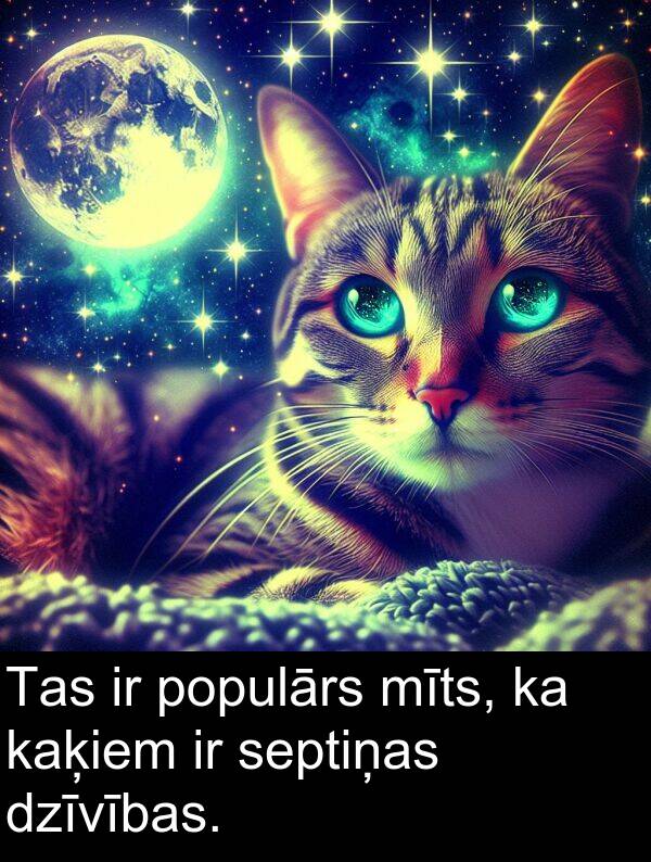 kaķiem: Tas ir populārs mīts, ka kaķiem ir septiņas dzīvības.