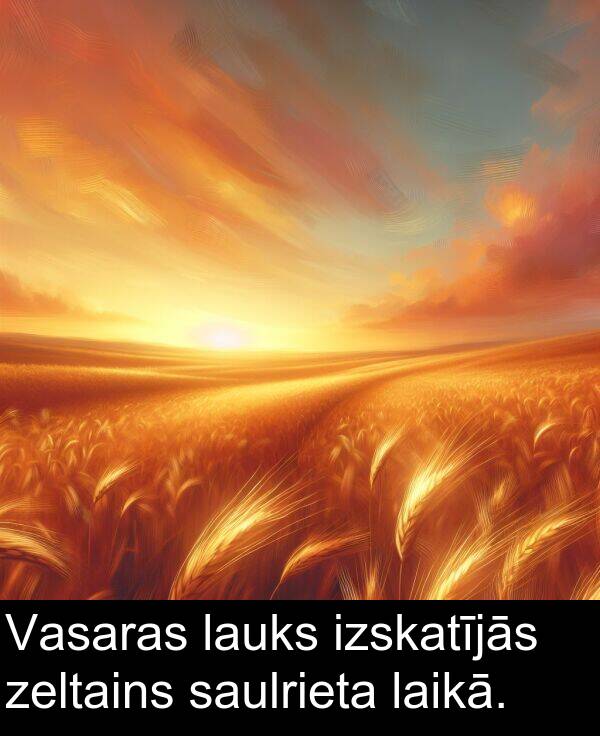zeltains: Vasaras lauks izskatījās zeltains saulrieta laikā.
